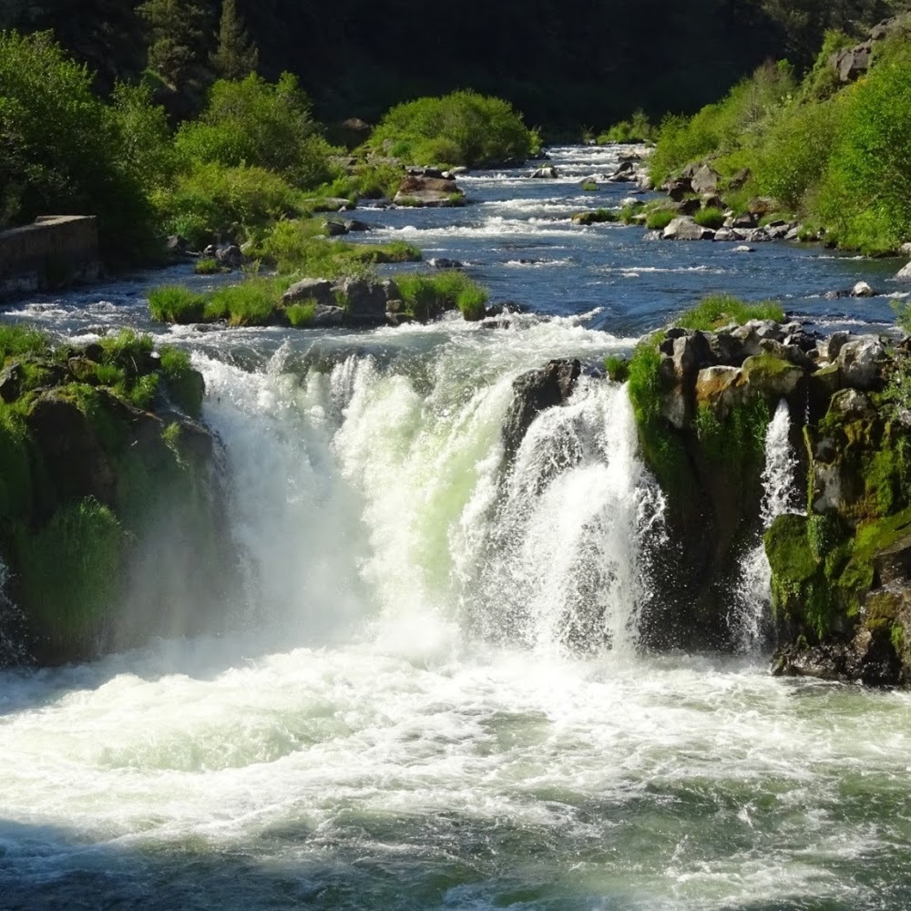 Meet your Posher, Judy